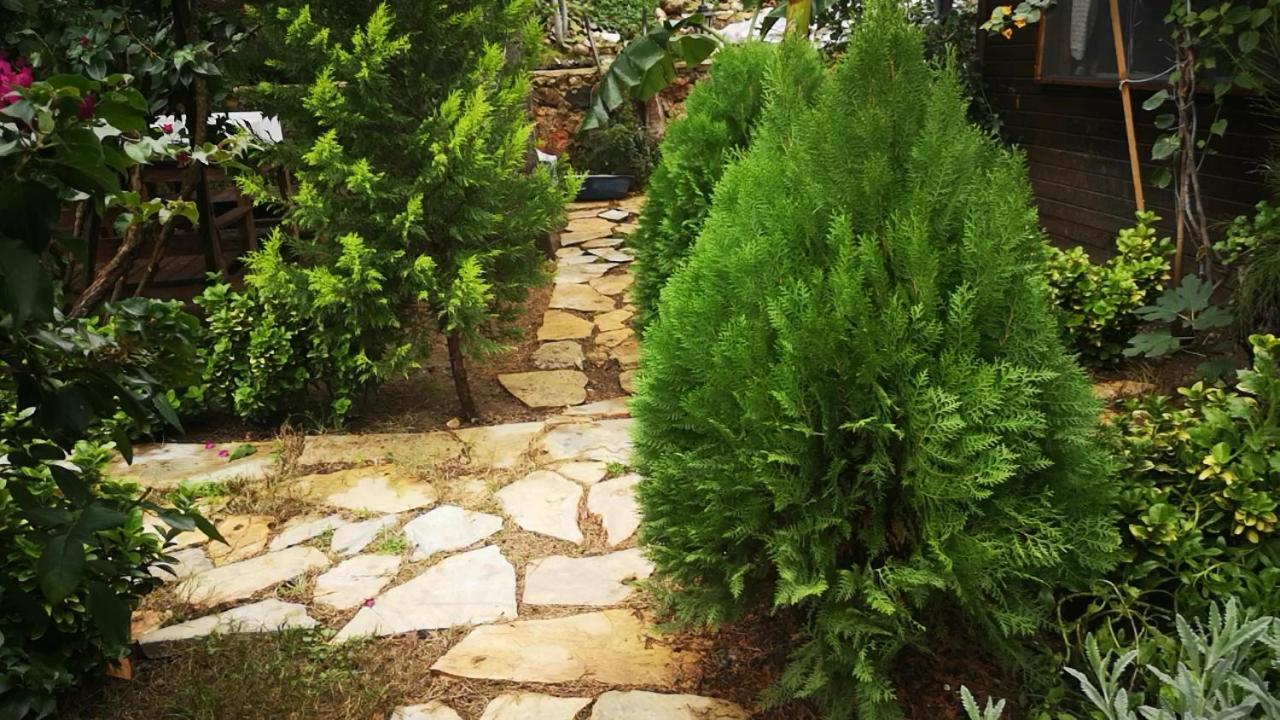 Kwatera prywatna Demeter Rose Stonehouse Pansion
