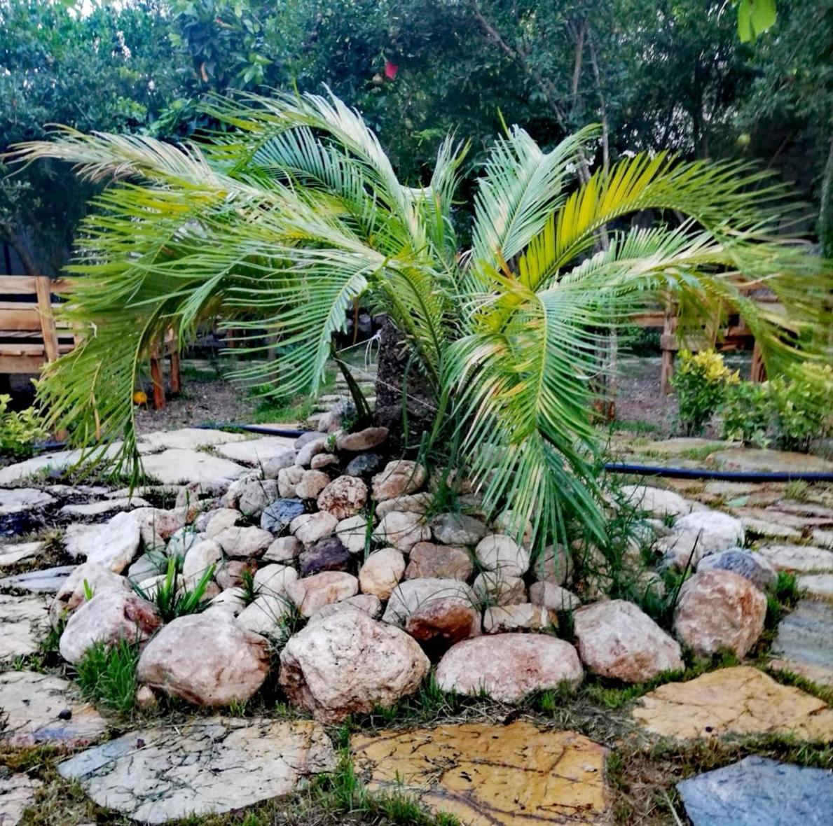 Kwatera prywatna Demeter Rose Stonehouse Pansion *