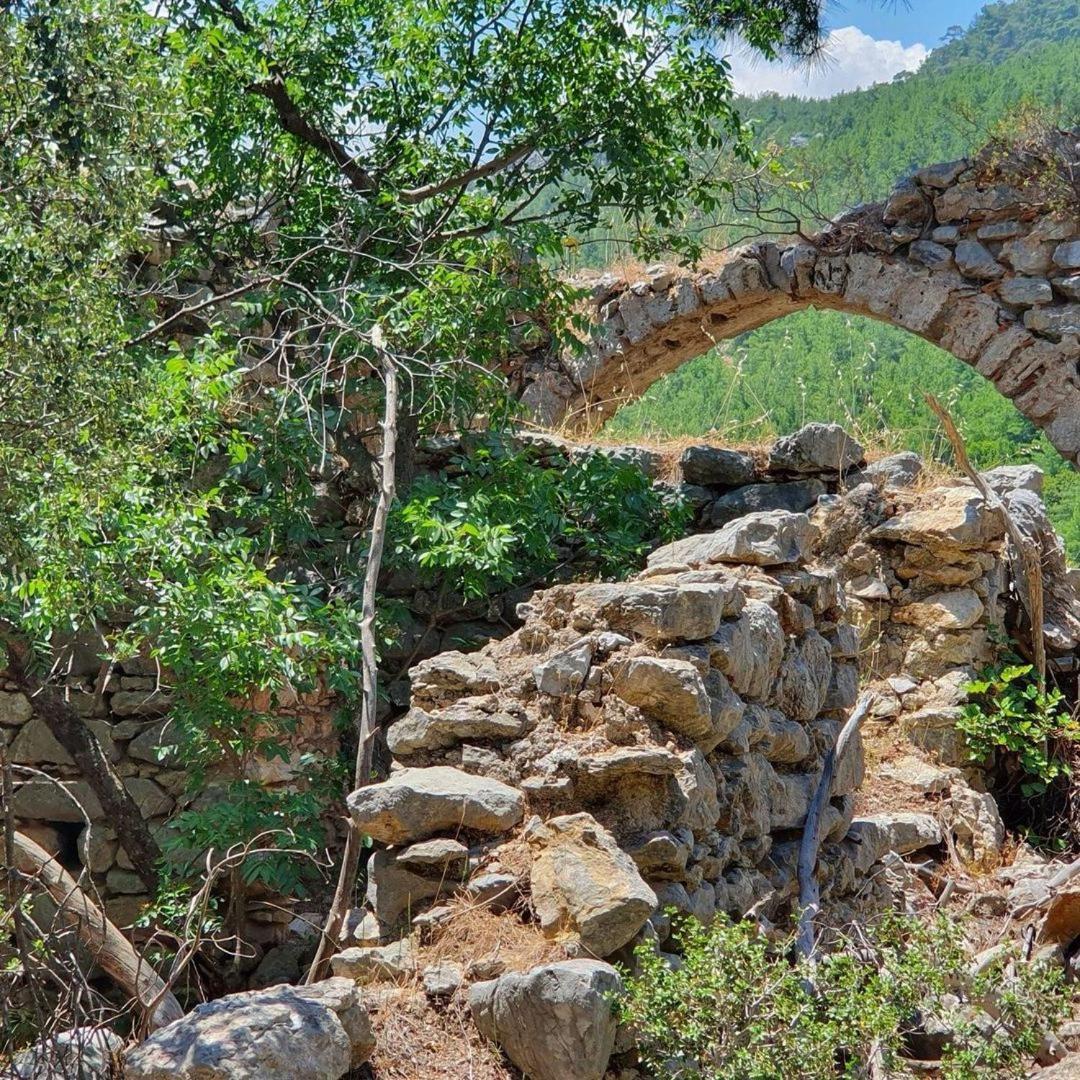 Kwatera prywatna Demeter Rose Stonehouse Pansion