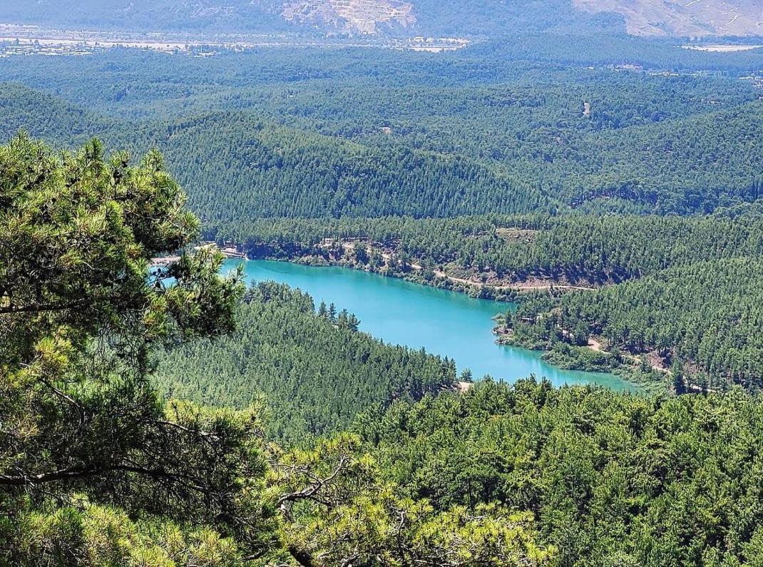 Demeter Rose Stonehouse Pansion Kwatera prywatna Antalya
